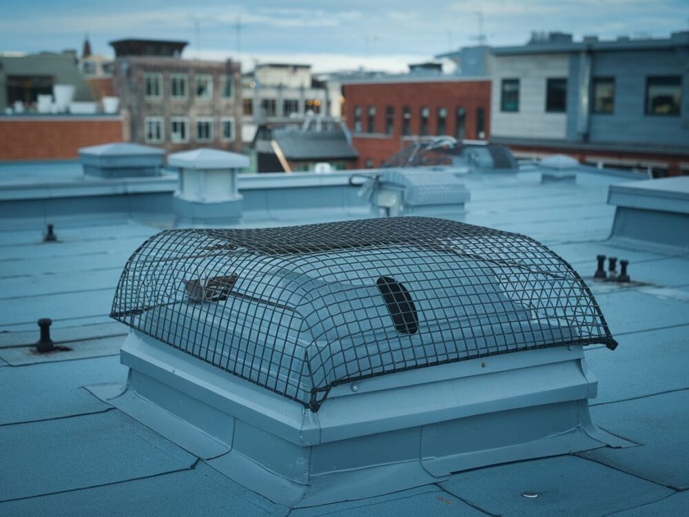 odstraszacz kun na dachu